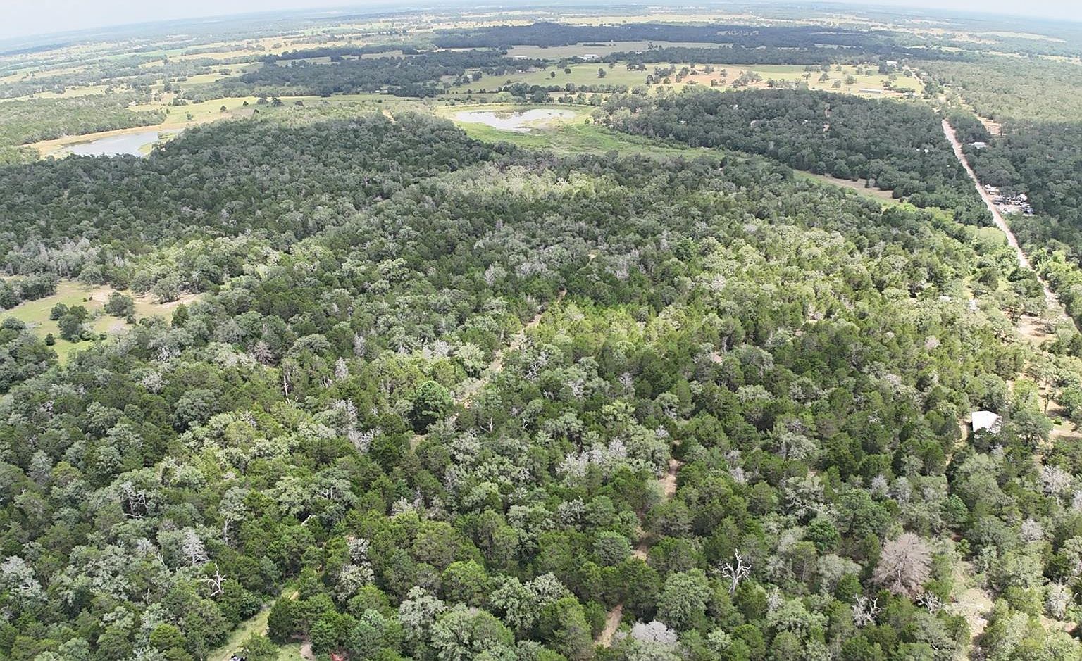 LOT 15 Pecan St Paige, TX 78659 - Thumbnail 3