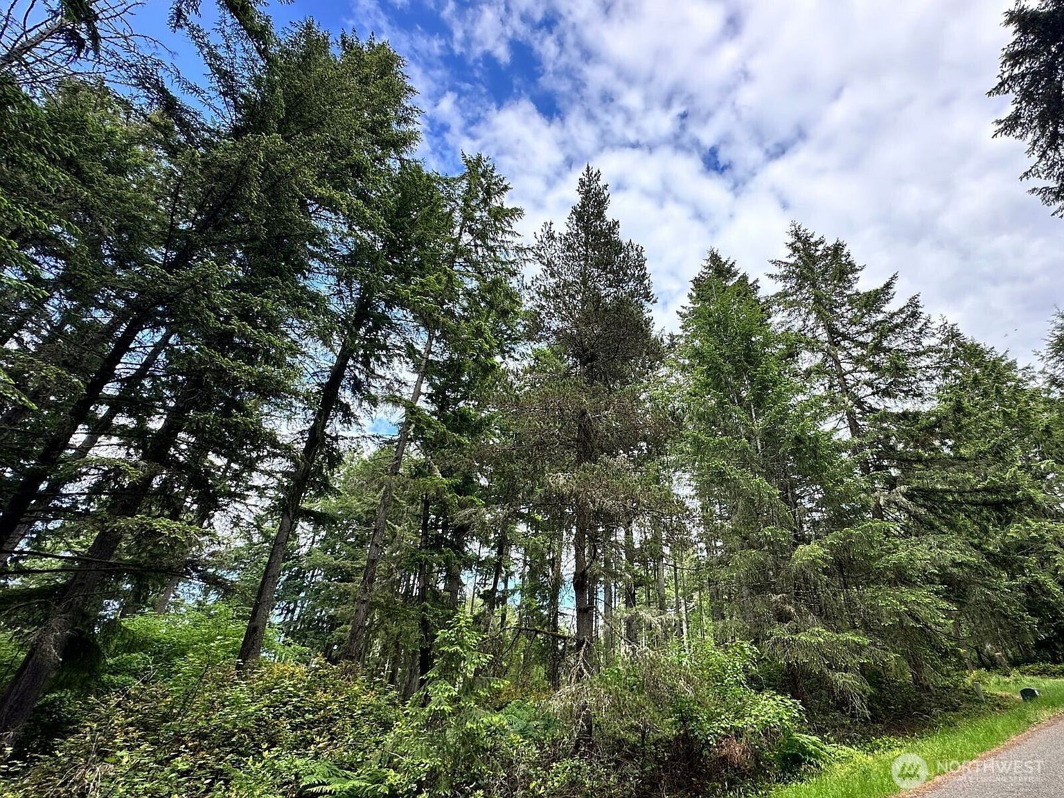 10412 Edgewood Dr Anderson Island, WA 98303 - Thumbnail 3