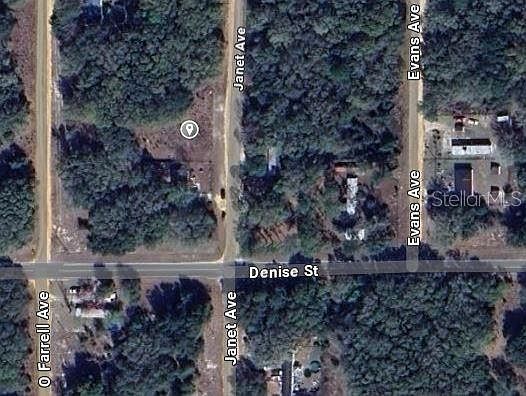 905 Janet Ave #14 Interlachen, FL 32148 - Thumbnail 3