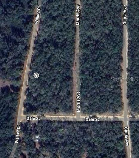 0 Walker Dr #20 Interlachen, FL 32148 - Thumbnail 3