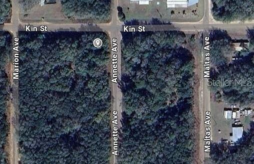 Annette Avenue Lot #36 Interlachen, FL 32148 - Thumbnail 3