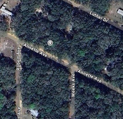 Annette Avenue Lot #14 Interlachen, FL 32148 - Thumbnail 3