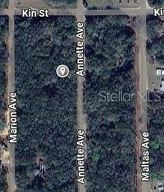 Annette Avenue Lot #34 Interlachen, FL 32148 - Thumbnail 3