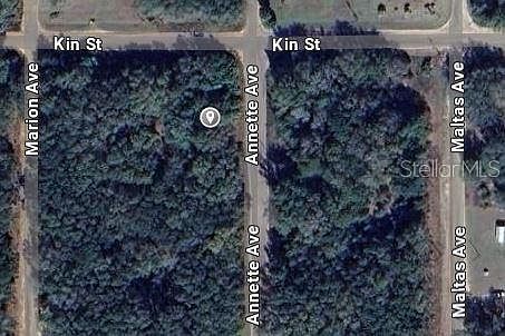 Annette Avenue Lot #35 Interlachen, FL 32148 - Thumbnail 3