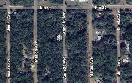 Annette Ave #31 Interlachen, FL 32148 - Thumbnail 3
