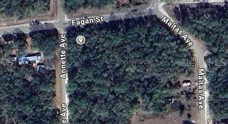 0 Annette Ave #1 Interlachen, FL 32148 - Thumbnail 3