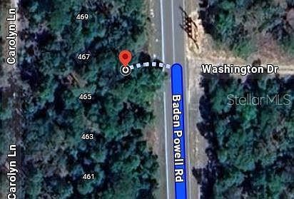 465 Baden Powell Rd #8 Hawthorne, FL 32640 - Thumbnail 3