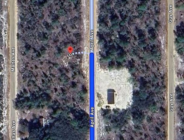 0 April Ave #26 Interlachen, FL 32148 - Thumbnail 3