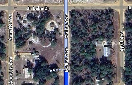 0 Maltas Ave #34 Interlachen, FL 32148 - Thumbnail 3