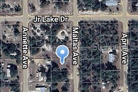 0 Maltas Ave #33 Interlachen, FL 32148 - Thumbnail 3