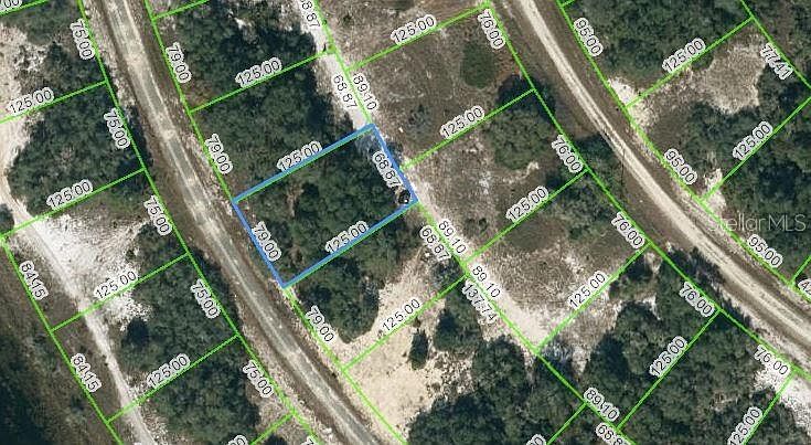 313 Rhythm Dr #42 Lake Placid, FL 33852 | Land/Lot