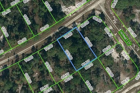 389 Showboat Ave #2 Lake Placid, FL 33852 | Land/Lot