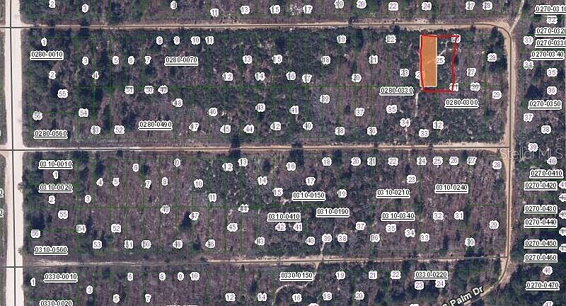 0 Cherry St #24-25 Interlachen, FL 32148 - Thumbnail 3