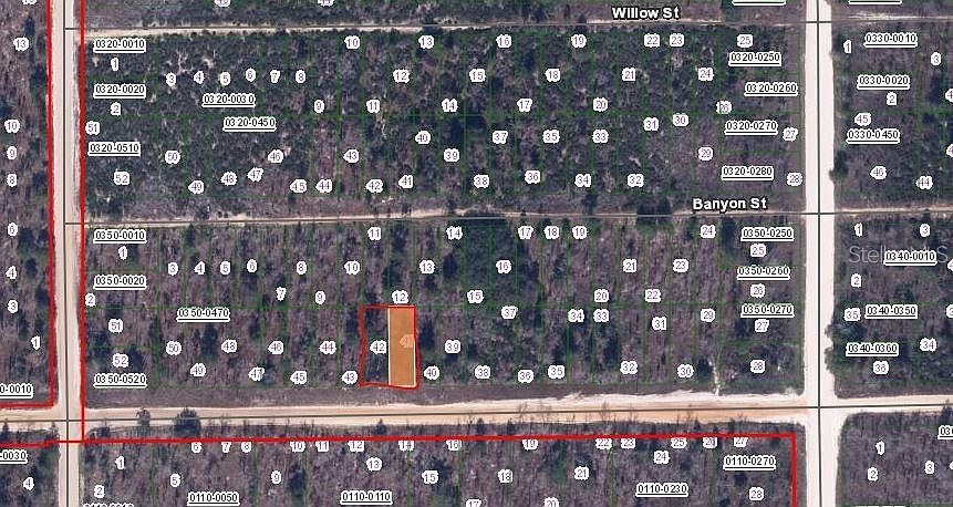 0 Main St #41-42 Interlachen, FL 32148 - Thumbnail 3