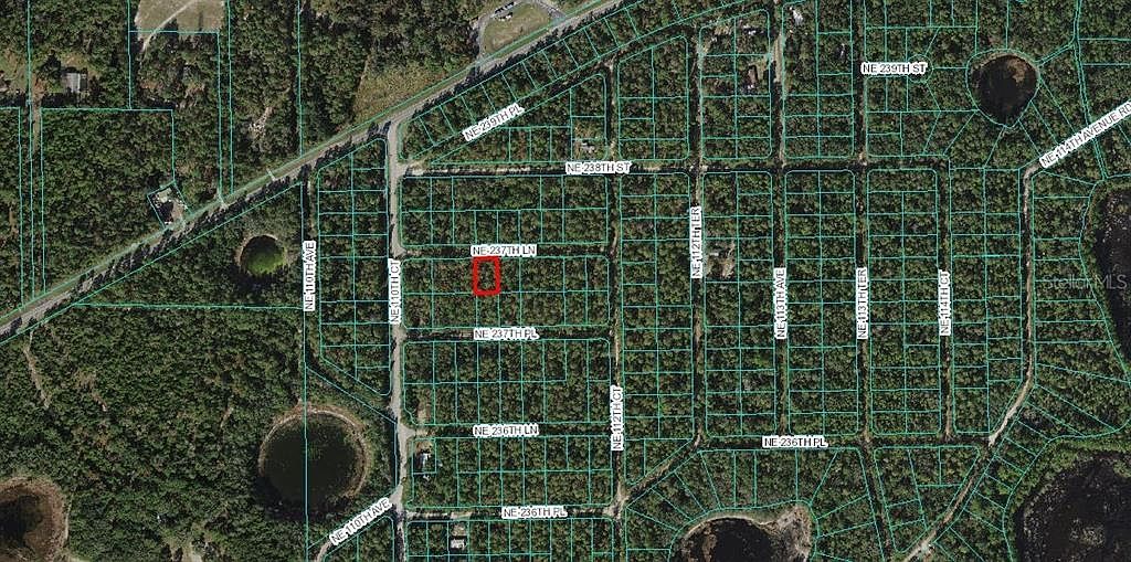 LOT 4 NE 237th Ln Lot 4 Fort Mc Coy, FL 32134 - Thumbnail 3