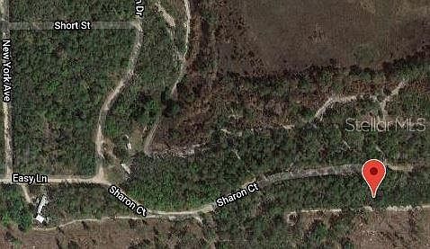 153 Sharon Dr #6 Satsuma, FL 32189 - Thumbnail 3