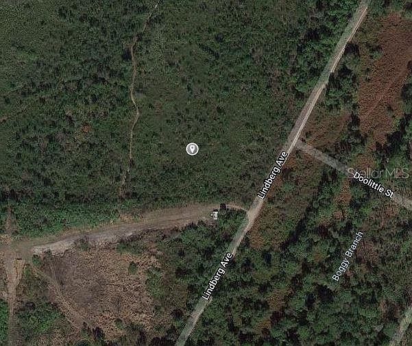 1431 Scrub Jay St #6 Lake Placid, FL 33852 - Thumbnail 3