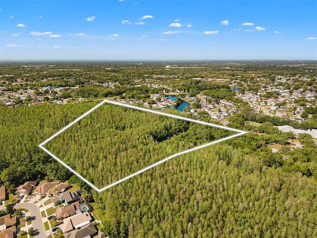 12591 Henderson Rd Tampa, FL 33625 - Thumbnail 3