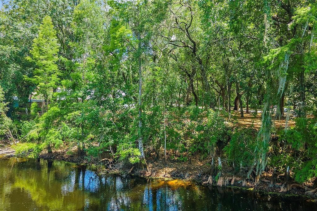 11731 Gail Dr Lot 10 Tampa, FL 33617 - Thumbnail 3