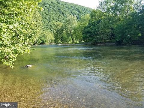 Bear Paw Maurertown, VA 22644 - Thumbnail 3