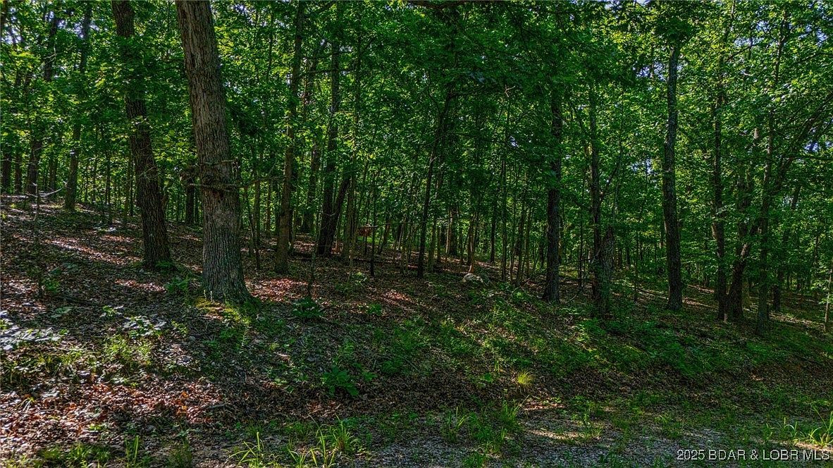 1169-1143 Elliott Pl Edwards, MO 65326 - Thumbnail 3