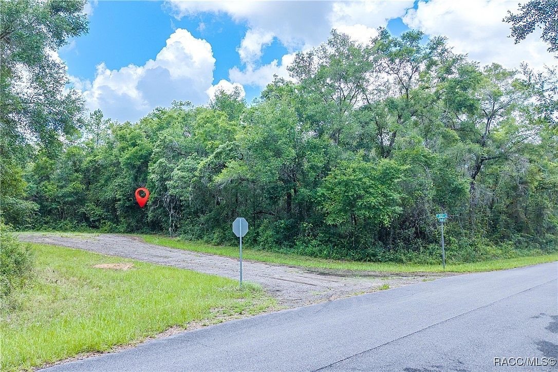 9870 N Sky Point Citrus Springs, FL 34434 - Thumbnail 3