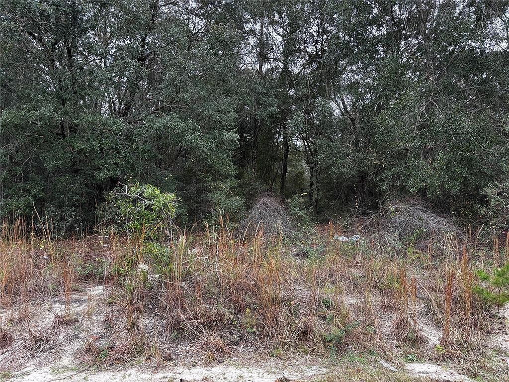 SE 115th Place Rd Lot 2 Ocklawaha, FL 32179 | Land/Lot