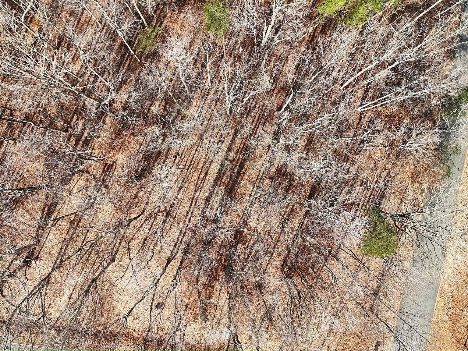 LOT 10 Binnacle Dr Moneta, VA 24121 - Thumbnail 3