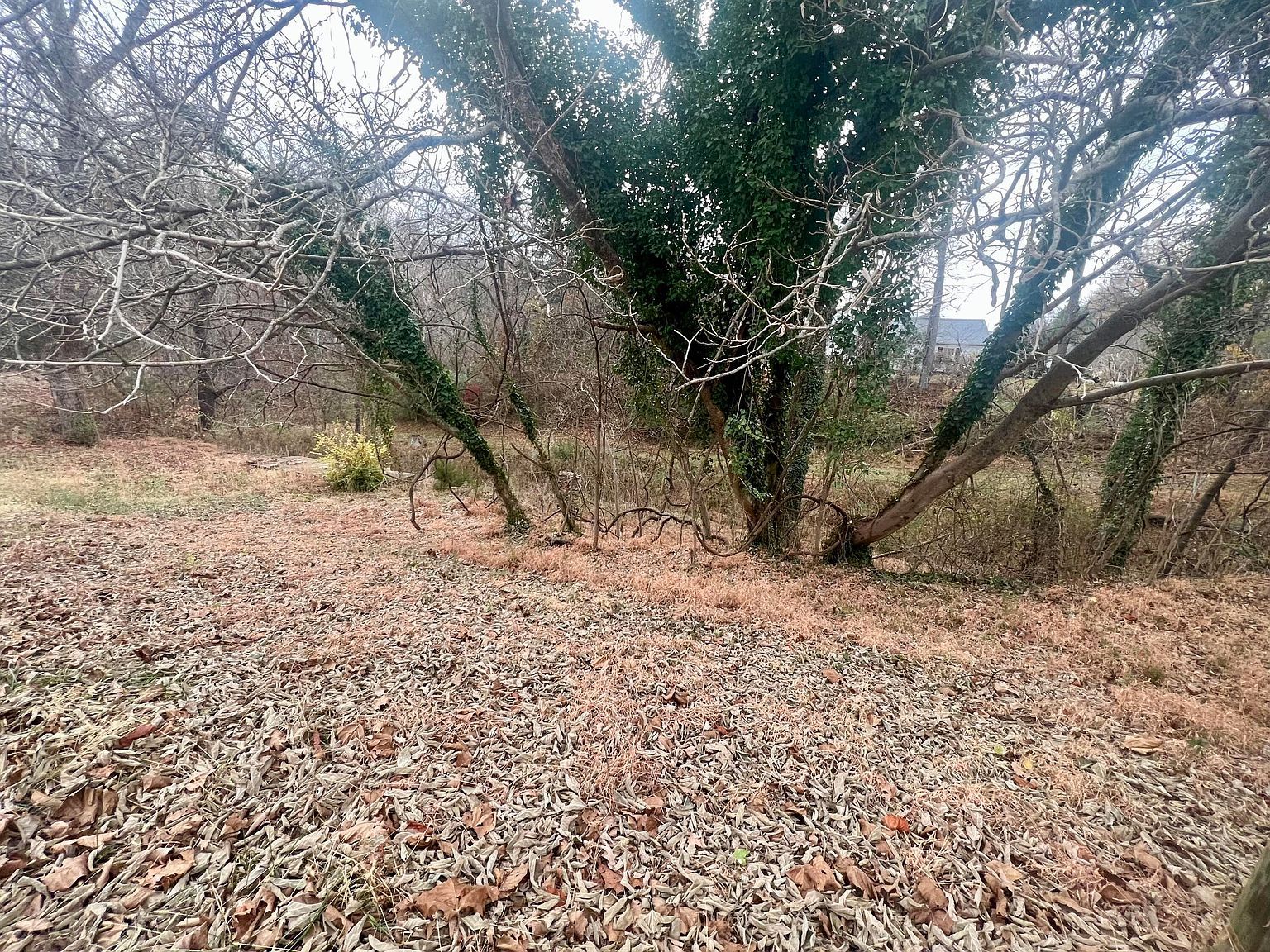 808 S Main St #0 Rocky Mount, VA 24151 - Thumbnail 3