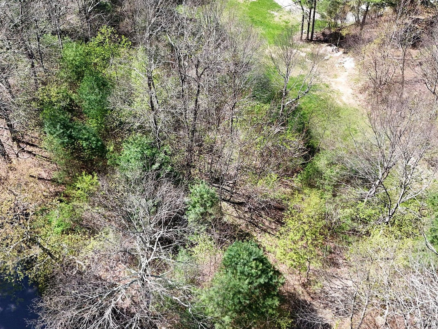 0 Ivy Ridge Rd Bent Mountain, VA 24059 - Thumbnail 3