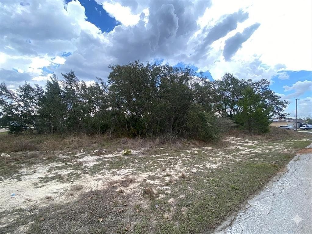 174 Maple Dr Lot 10 Kissimmee, FL 34759 - Thumbnail 3