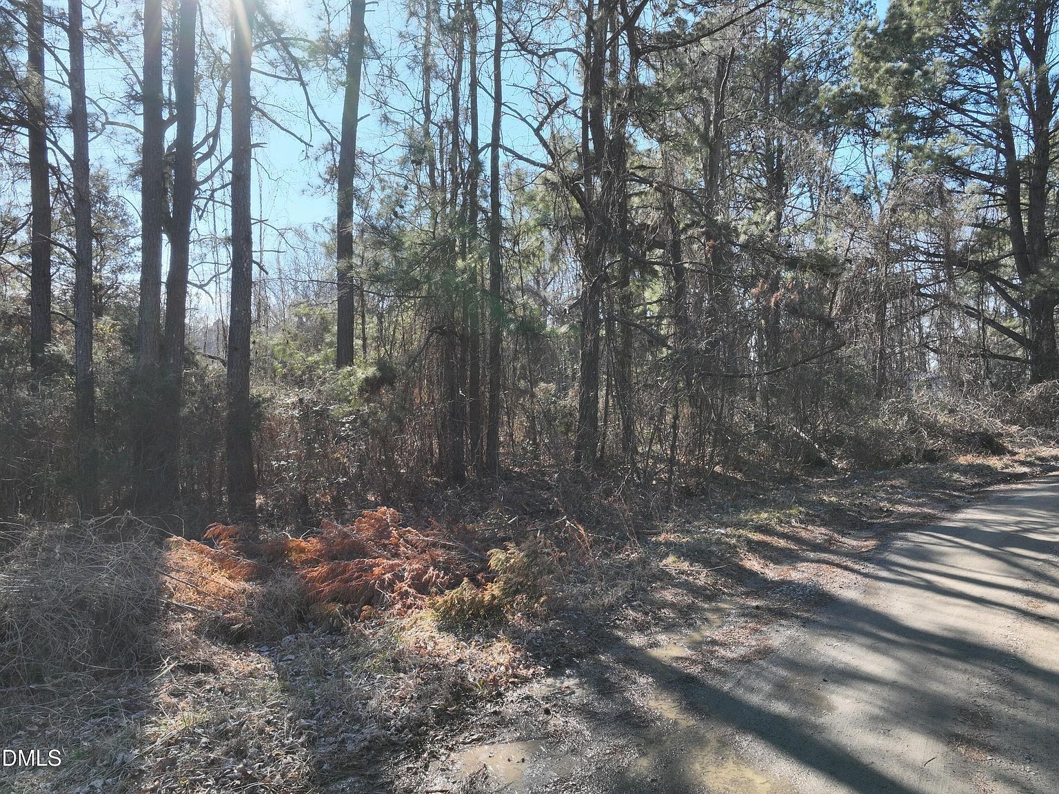 816 Mitchell Ave Lot 312 Franklinton, NC 27525 - Thumbnail 3