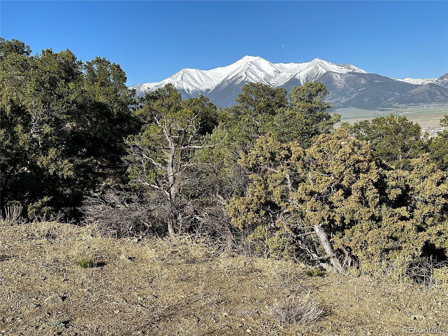 28750 County Road 304 Buena Vista, CO 81211 - Thumbnail 3