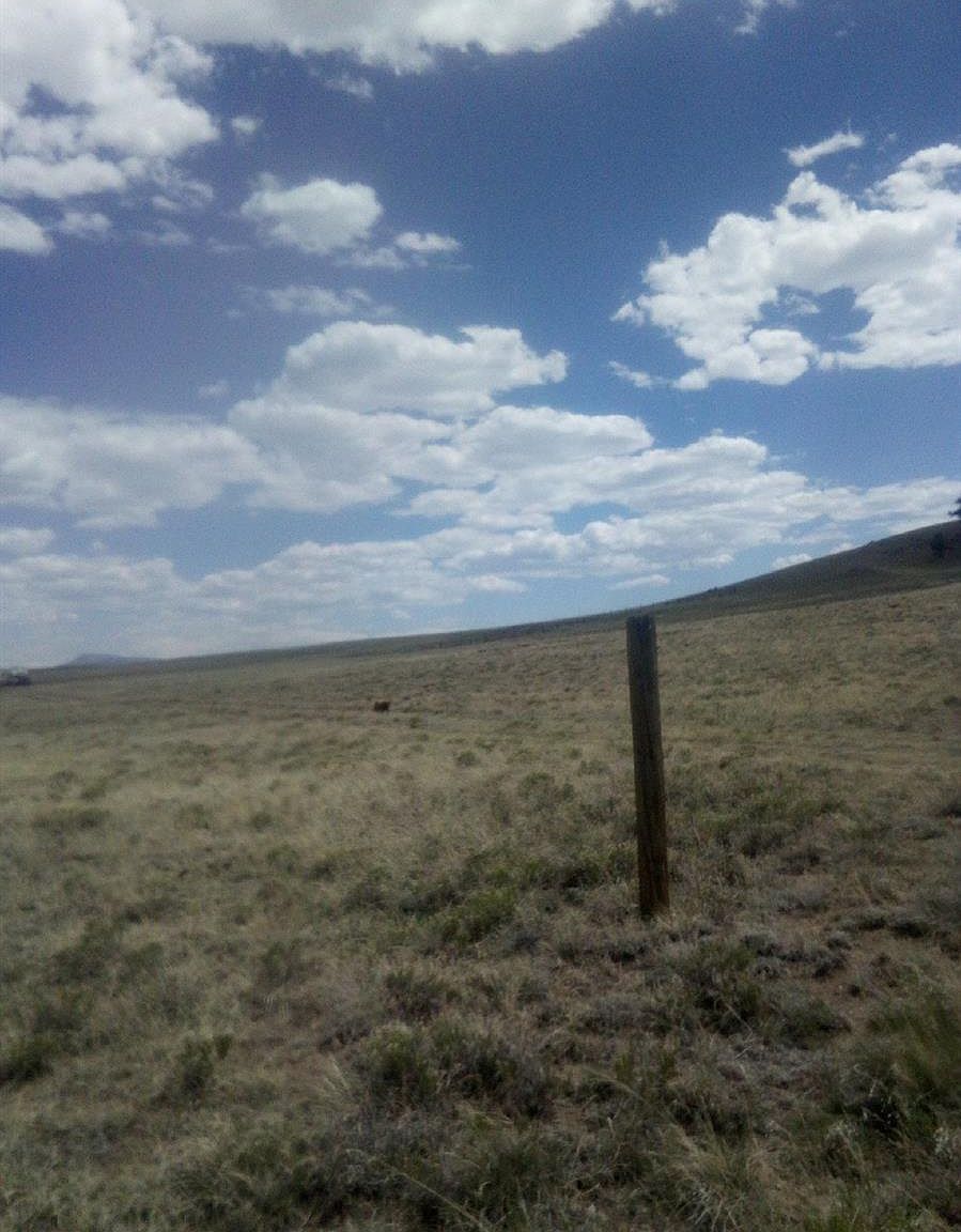620 Stirrup Rd Lot 31 Hartsel, CO 80449  | Land/Lot