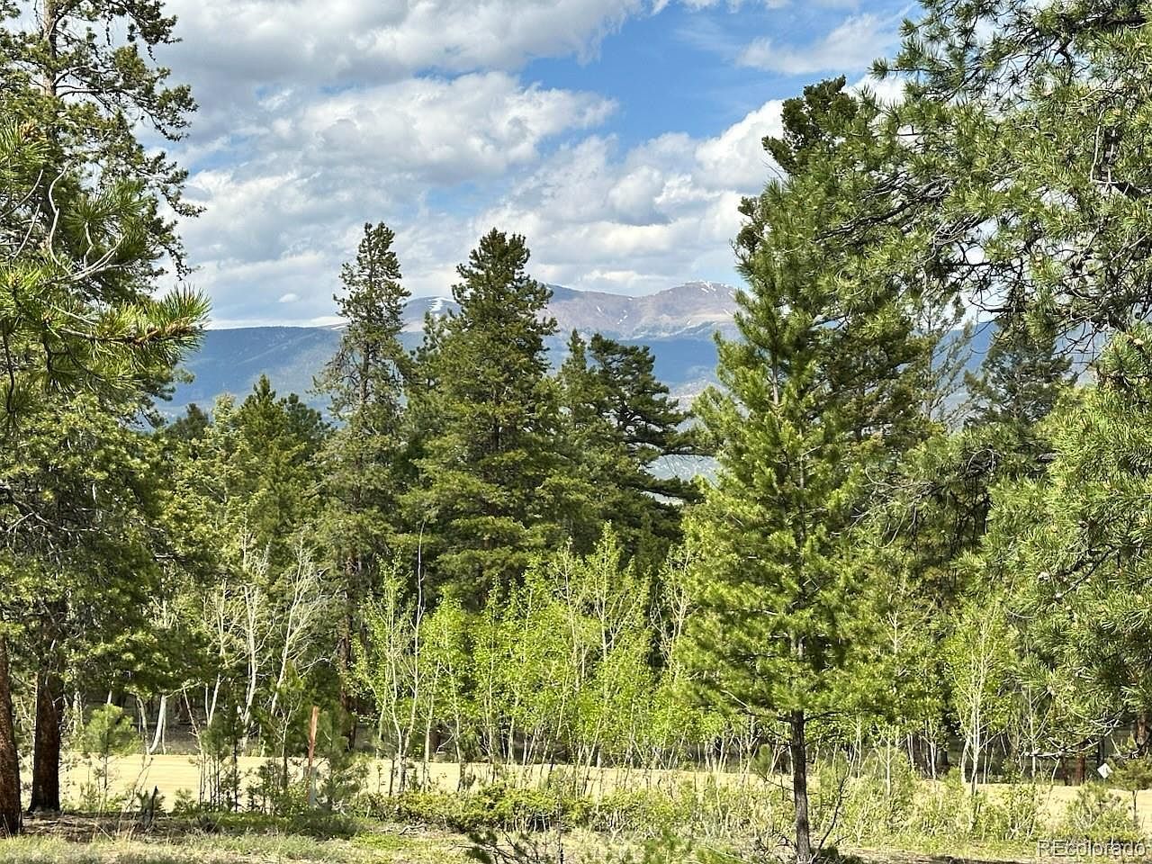 30385 National Forest Dr Buena Vista, CO 81211 - Thumbnail 3