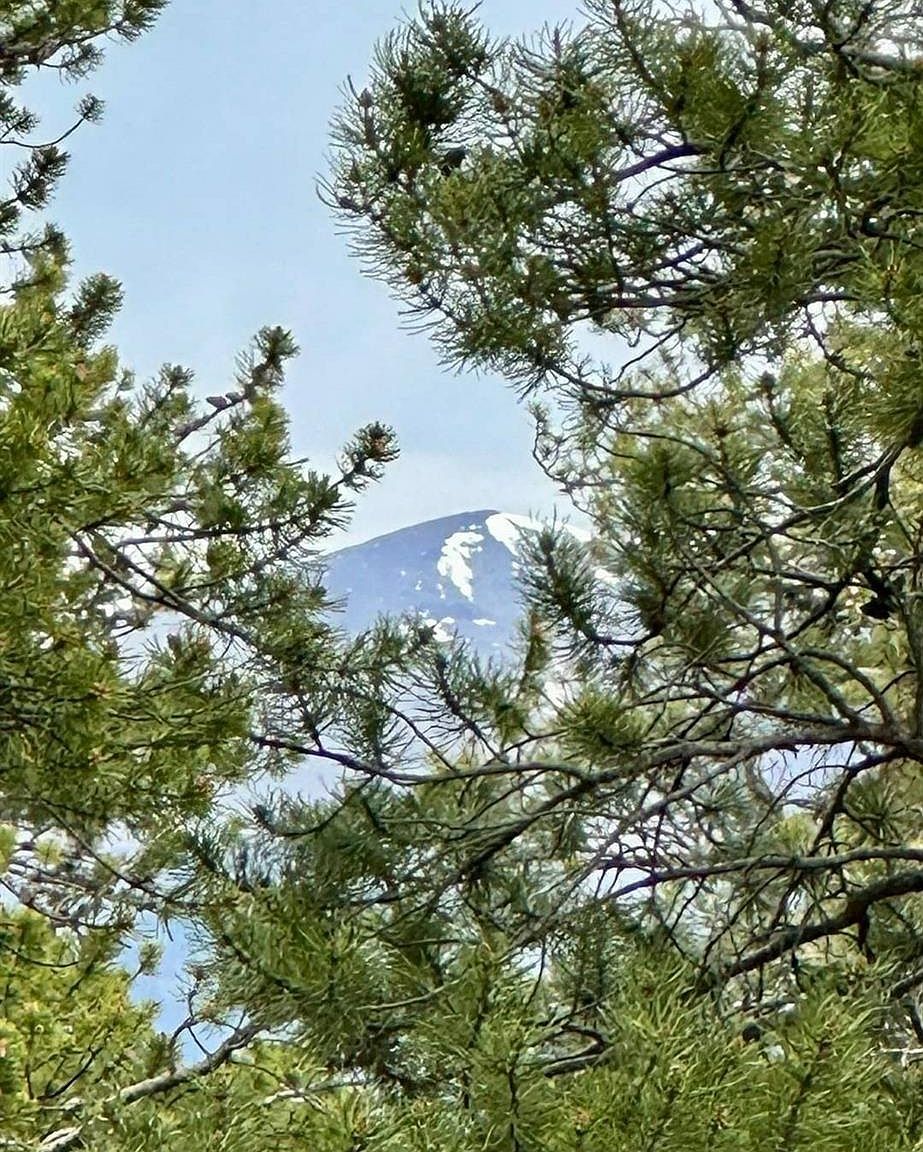 30304 Aspen Turn #13 Buena Vista, CO 81211 - Thumbnail 3