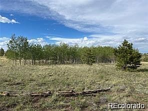 1599 Campfire Rd Lot 707 Hartsel, CO 80449 - Thumbnail 3