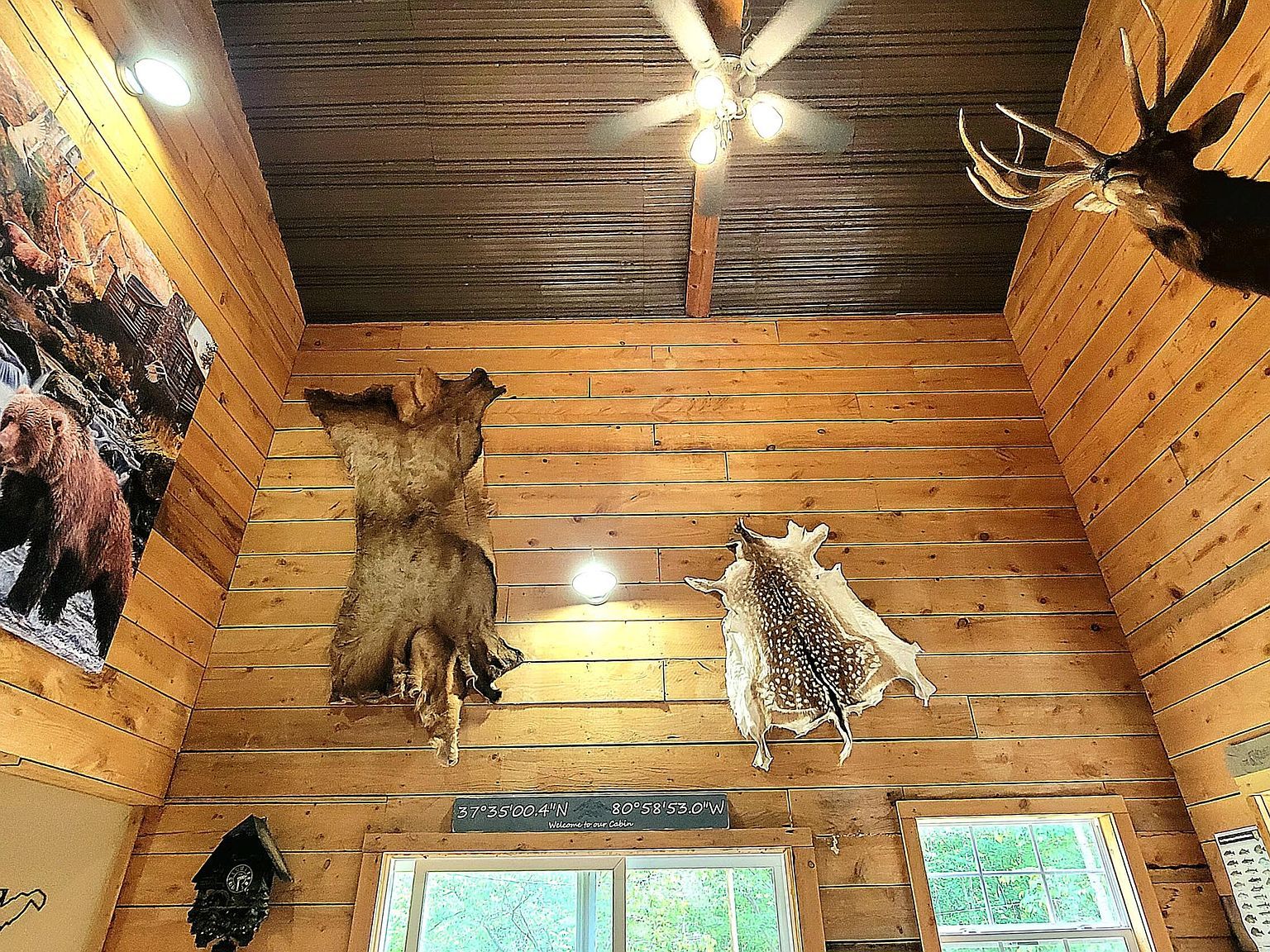 927 Bluestone River Rd Jumping Branch, WV 25969 - Thumbnail 3