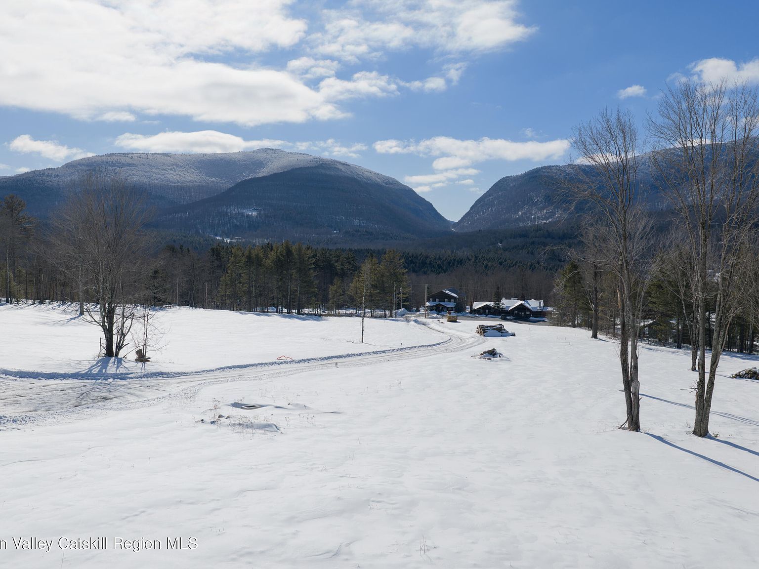 4 Ruth Ct Hunter, NY 12442 - Thumbnail 3