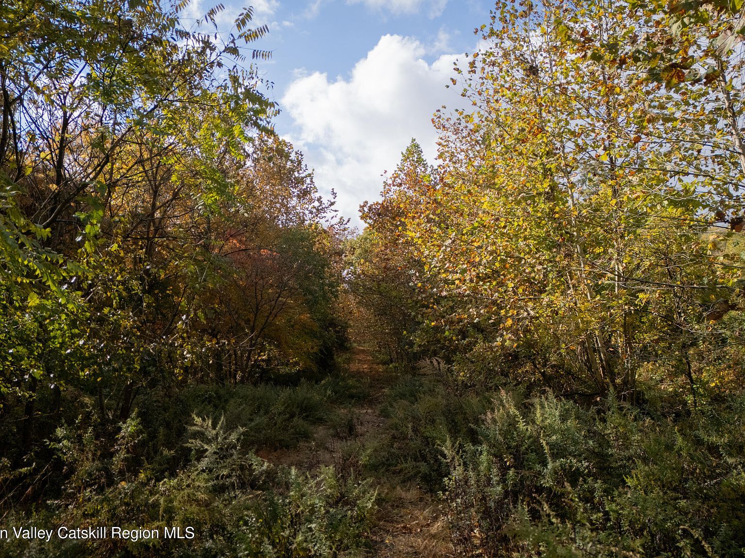 38 Hudson Ln Ulster Park, NY 12487 - Thumbnail 3