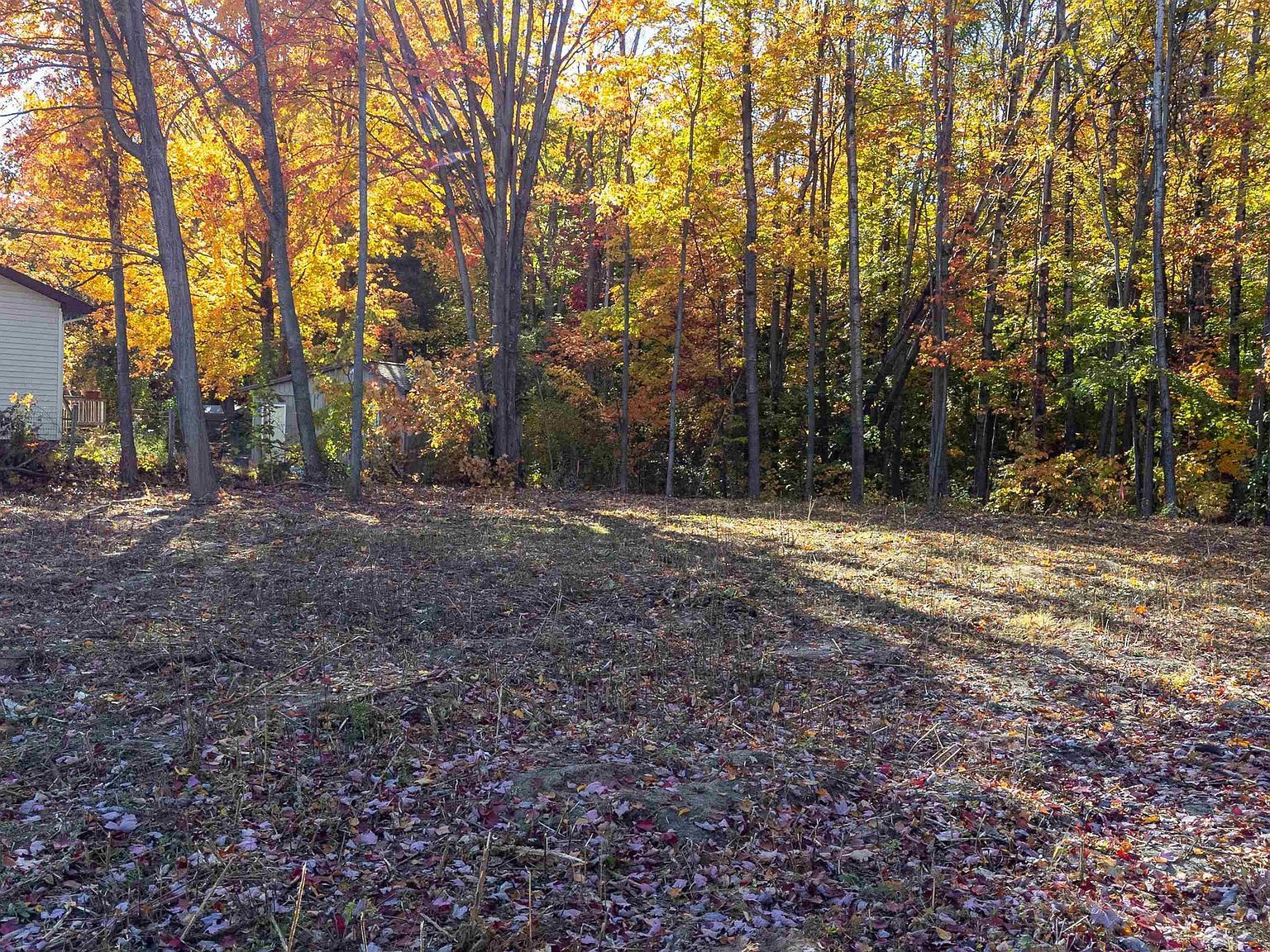 223 Alexander St Cadillac, MI 49601 - Thumbnail 3