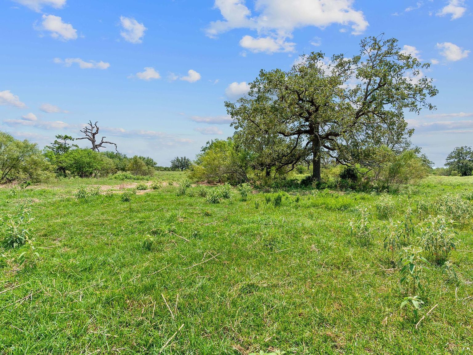 21 County Road 402 Flatonia, TX 78941 - Thumbnail 3