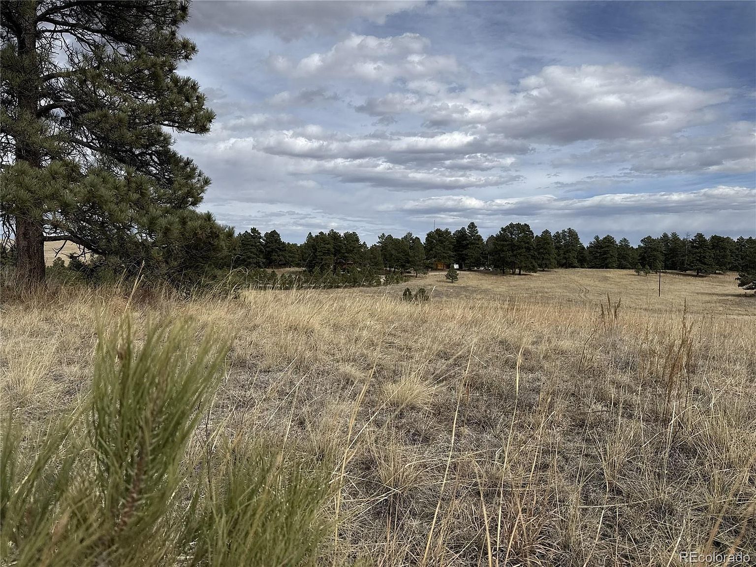 39080 County Road 21 Elizabeth, CO 80107 - Thumbnail 3