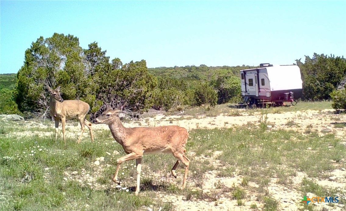 Cumberland Trl Killeen, TX 76549 - Thumbnail 3