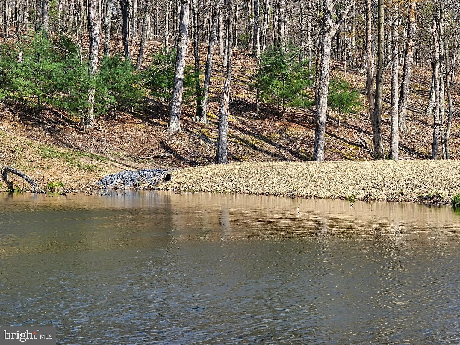 0 Red Oak Rd Cross Junction, VA 22625 - Thumbnail 3