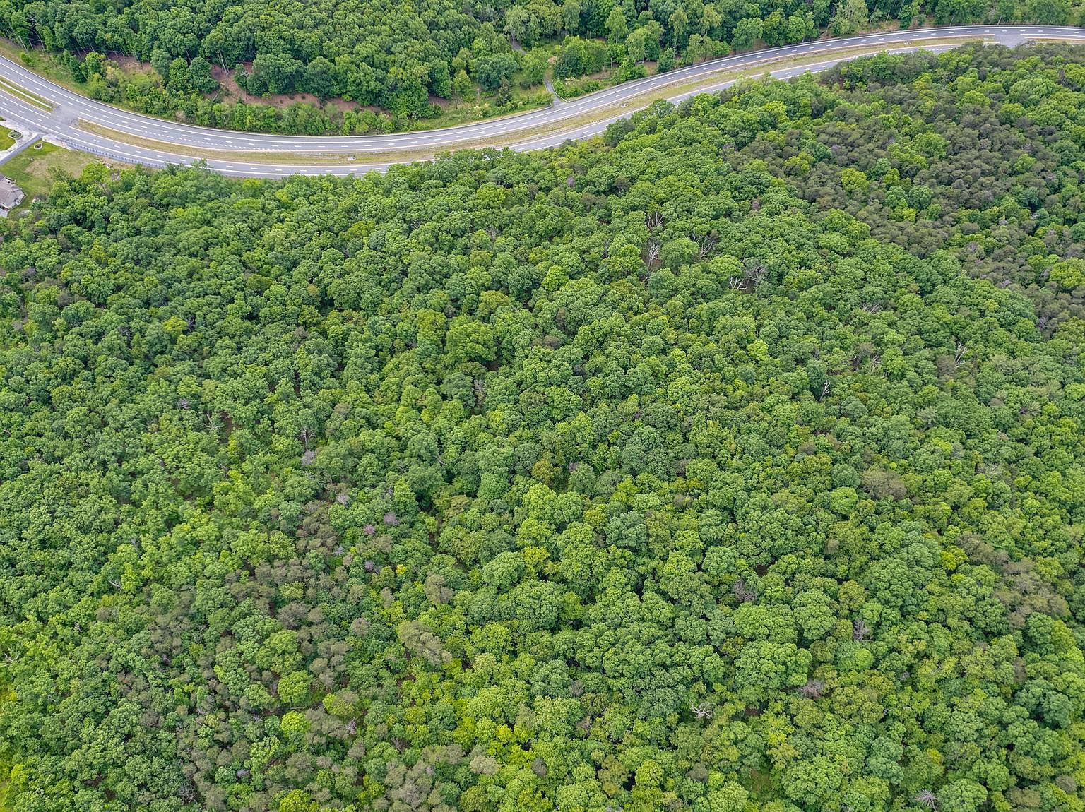 2 N Timber Ridge Rd Cross Junction, VA 22625 - Thumbnail 3