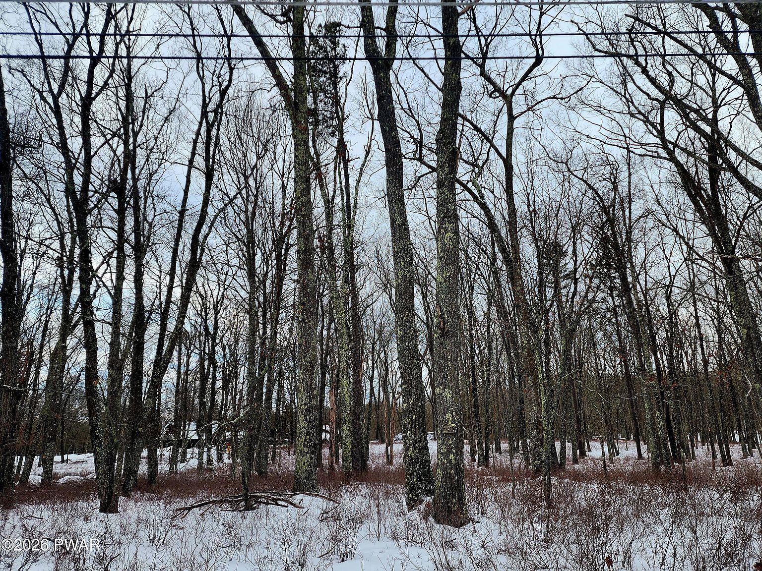 161 Lakeview Cir Hawley, PA 18428 - Thumbnail 3