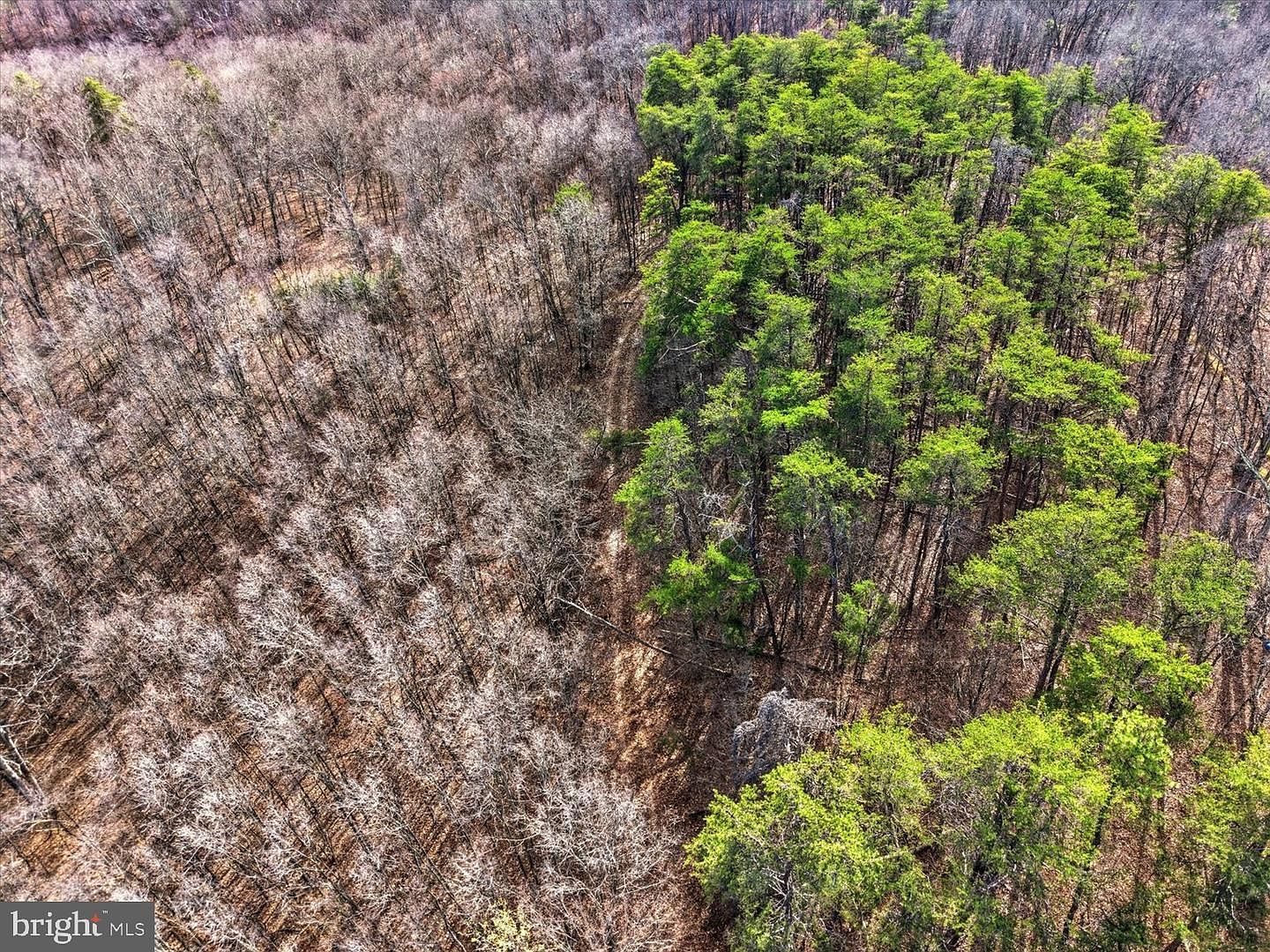 494 Sam Hill Ln Great Cacapon, WV 25422 - Thumbnail 3