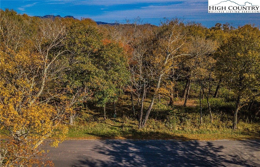 196 Green Cliffs Rd Banner Elk, NC 28604 - Thumbnail 3