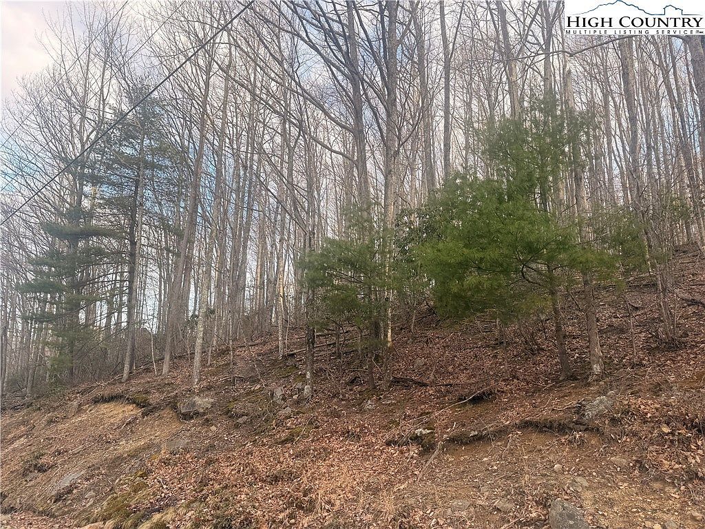 212 Jackpine Rd Banner Elk, NC 28604 - Thumbnail 3